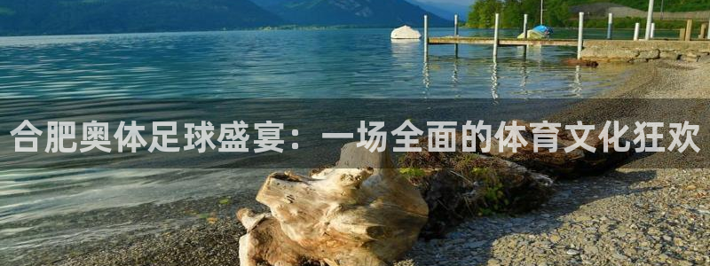 合肥奥体足球盛宴:一场全面的体育文化狂欢