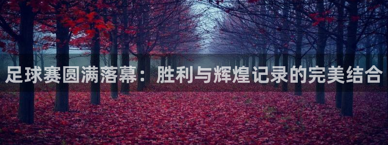 足球赛圆满落幕:胜利与辉煌记录的完美结合