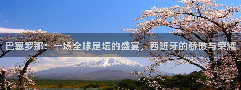巴塞罗那:一场全球足坛的盛宴,西班牙的骄傲与荣耀